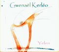 Gwenael Kerleo Yelen